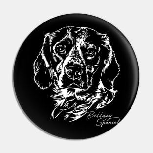 Brittany Spaniel dog portrait Pin