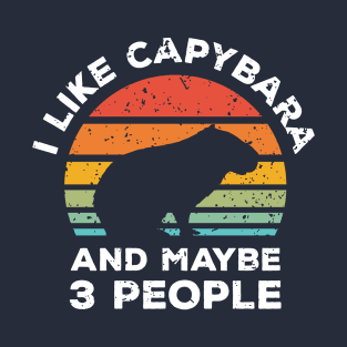 I Like Capybara and Maybe 3 People, Retro Vintage Sunset with Style Old Grainy Grunge Texture T-Shirt