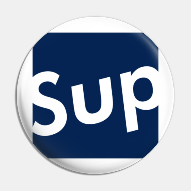 supreme box logo pin