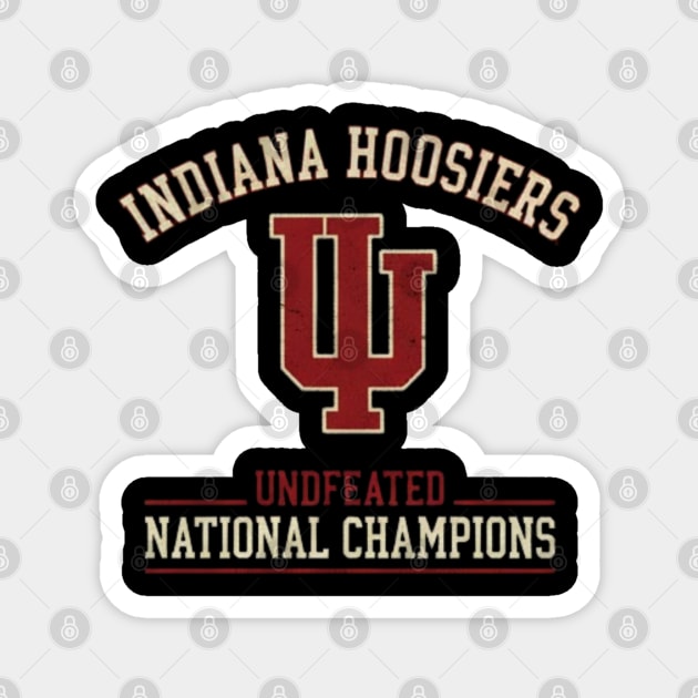 lu-Nations-Champions Magnet by dtr_art