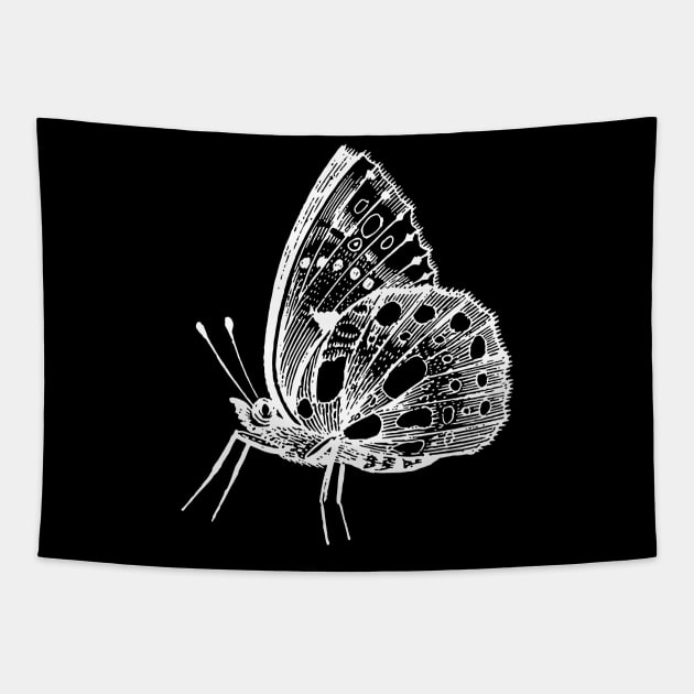 Dramabite Vintage butterfly illustration Tapestry by dramabite