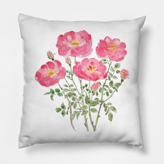 pink rose watercolor Pillow by colorandcolor