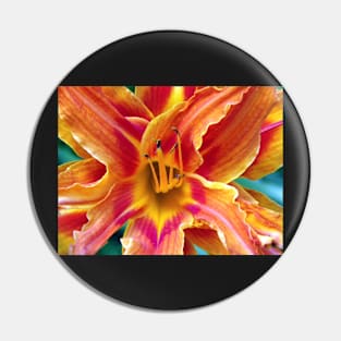 Flower Close Up Orange Lily Bloom Art, Floral Home Decor, Gifts & More! Pin