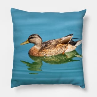 Duck Swimming In The Water. Pillow