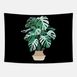 Monstera deliciosa variegata Tapestry