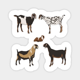 Nubian Goats Pattern Transparent Magnet