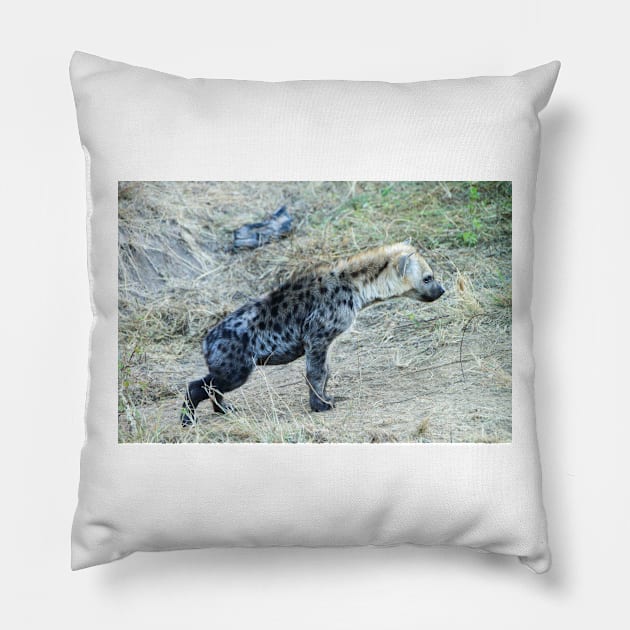 Juvenile Hyena Cub Pillow by SafariByMarisa