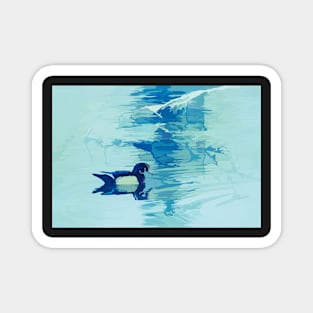 wood duck on blue. Magnet