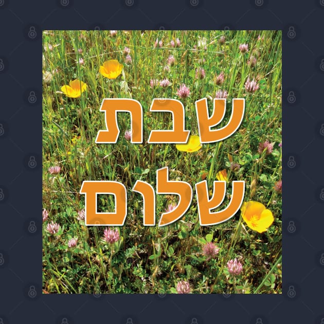 Shabbat Shalom שבת שלום Poppy Text by DPattonPD