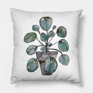 Pilea Pillow