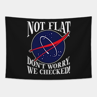 FLAT EARTH: Don't Worry We Checked Tapestry