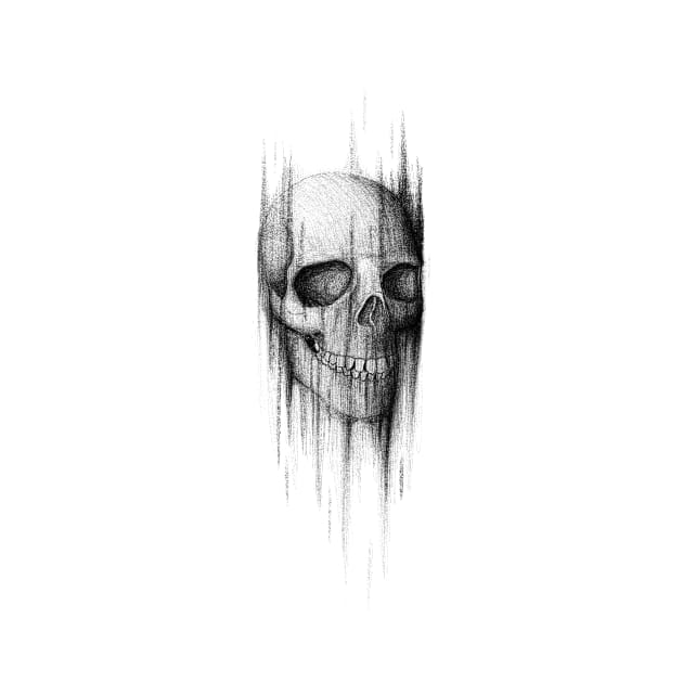 Skull by deavdeav