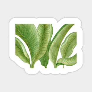 Nature Green Leaves Magnet