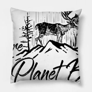 There is no planet B Pillow