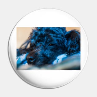 Blue Puppy Pin
