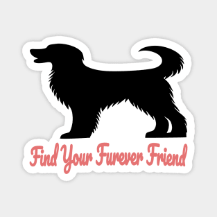 Loyal Silhouette - National Pet Day Magnet