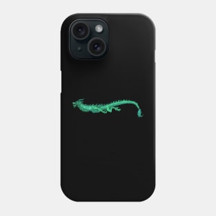 Dragon glider Phone Case