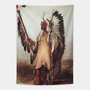 Mato-Tope, A Mandan Chief by Karl Bodmer Tapestry