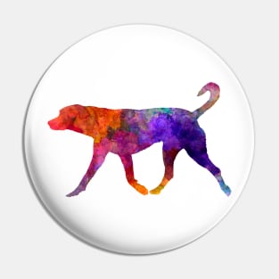 Transylvanian Hound in watercolor Pin