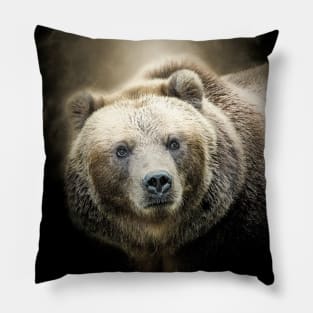 Grizzly Bear Animal Wildlife Forest Nature Adventure Hunt Spotlight Digital Painting Pillow