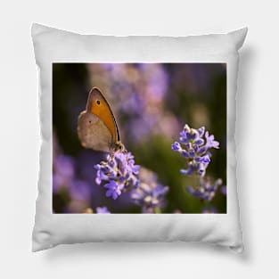 Honeybee on a lavender flower Pillow