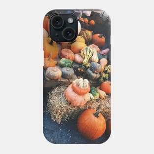 Pumpkins and Gourds Union Square NYC Phone Case