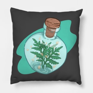 Medicinal Suico Pillow