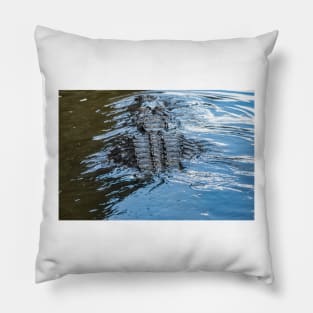 Alligator Spine Pillow