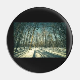 Winter forest landscape Pin