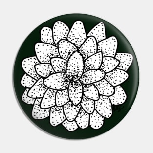 Simple Succulent Rosette Hand Drawn Pin