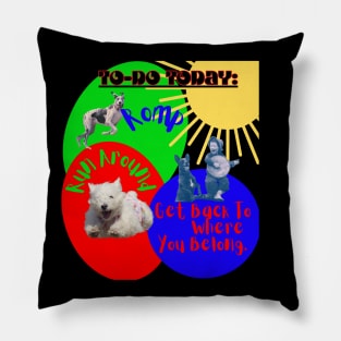 Good Dog To-Do List Pillow