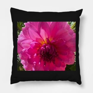 Love Life of a Dahlia Pillow