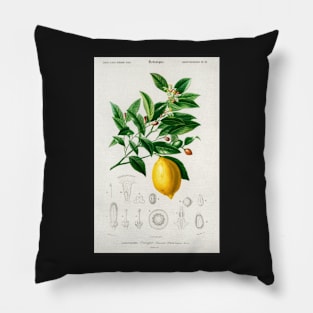 Lemon print Pillow