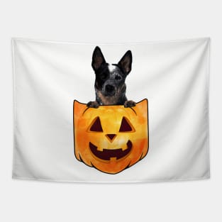 Blue Heeler Dog In Pumpkin Pocket Halloween Tapestry