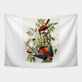 Bird of America  Bird, bird lover, america, beautiful  Public domain painting by John James Audubon Tapestry