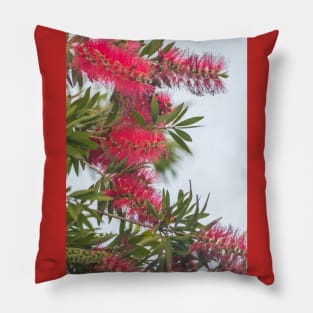 Cascading Bottlebrush Blooms Pillow