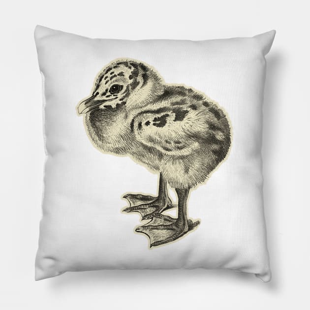 bird baby Pillow by Marccelus