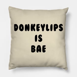 Donkeylips Is Bae Shirt - Salute Your Shorts, The Splat, Nickelodeon Pillow