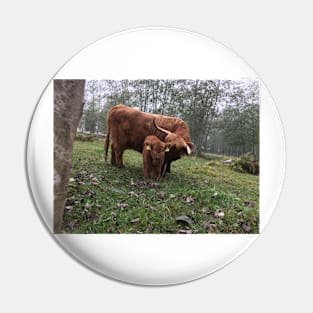 Scottish Highland Cattle Cow and Calf 1556 Pin
