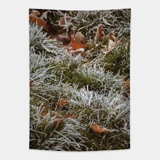 Fall's First Frost Tapestry