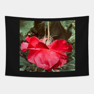 Hang Loose with the Red Rose - Things Are Going to Get Better! Tapestry