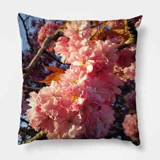 Cherry Blossoms Pillow