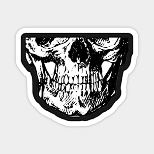 Skull Magnet