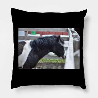 Pony Pillow