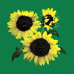 Three Sunflowers T-Shirt