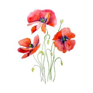 3 red and orange poppies watercolor T-Shirt