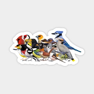 Year of the Bird - Birds of North America and Europe Magnet