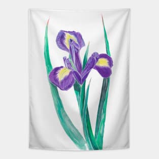 Siberian iris Tapestry