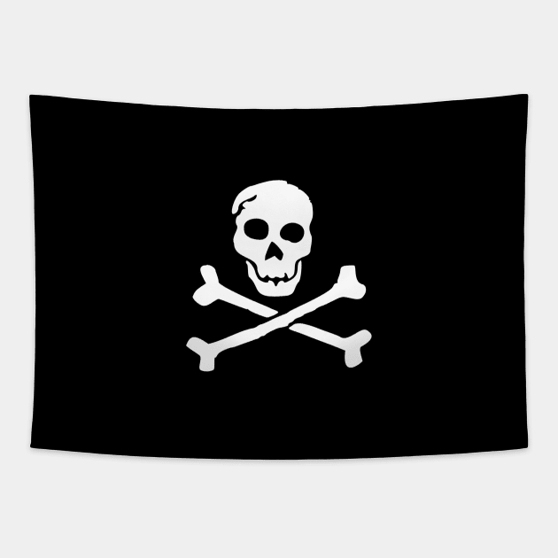 Skull & Crossbones Pirate Flag  Buy Skull & Crossbones Pirate Flag