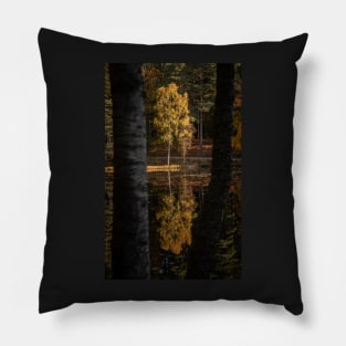 'Autumn Magic 2', Loch Dunmore, Pitlochry Pillow